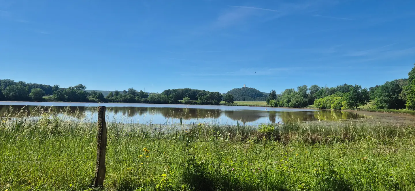 Rodder Maar mit Blick auf Burg Olbrück – ein Datingort im Brohltal