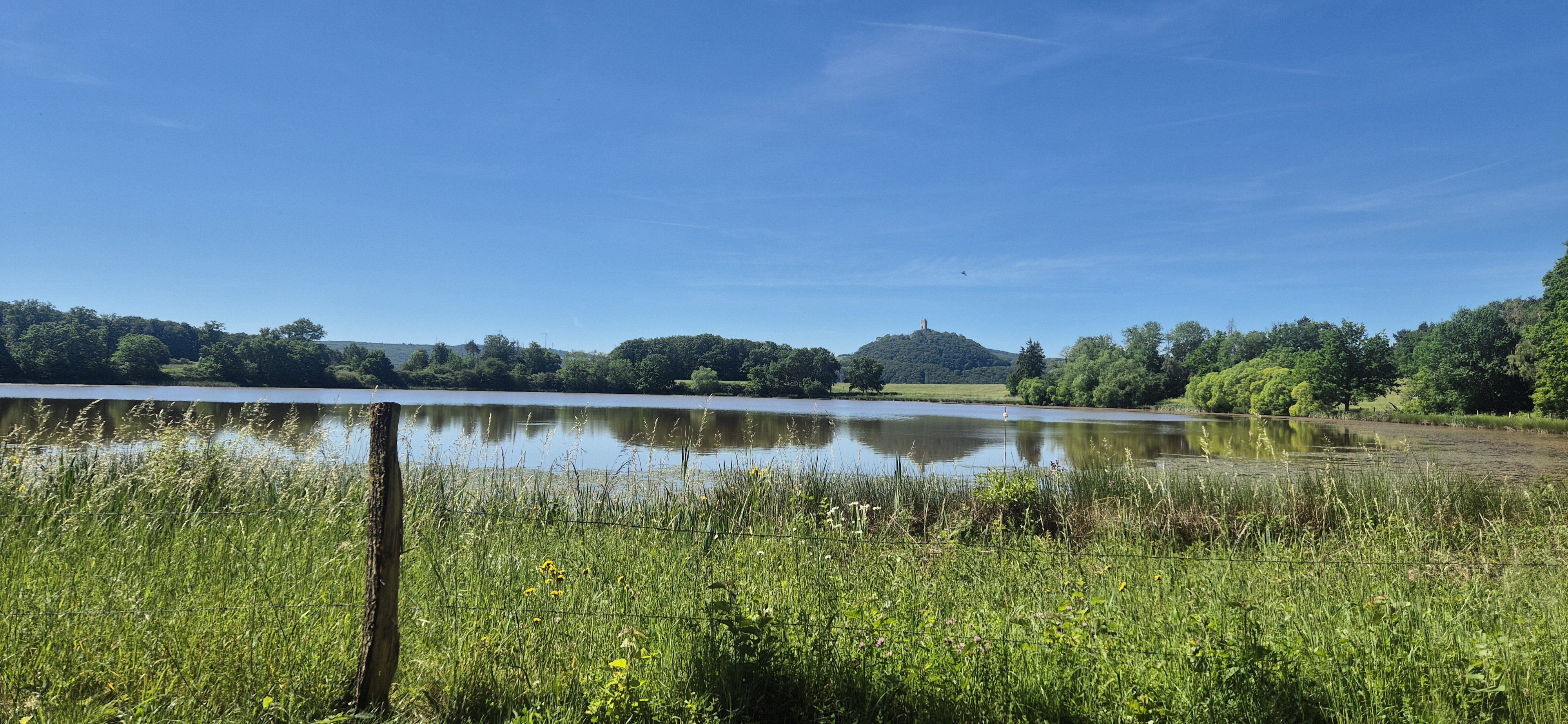 Blick über das Rodder Maar bei Niederdürenbach